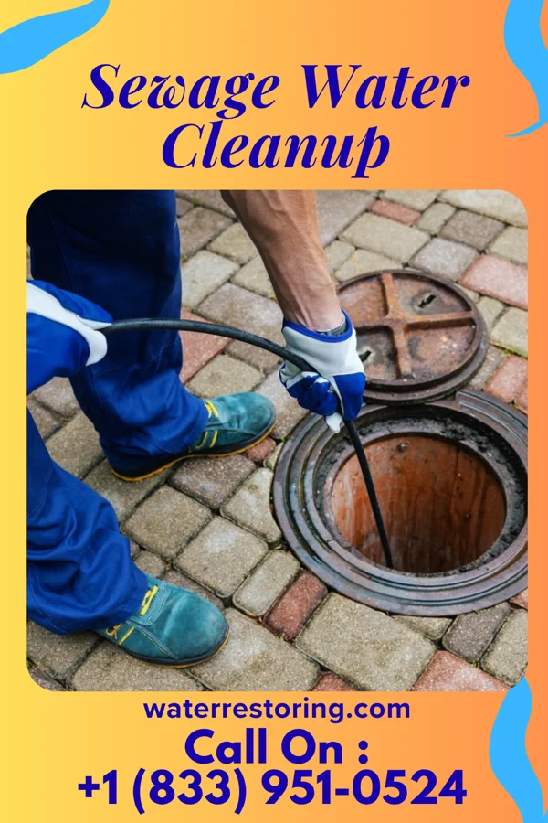 Sewage Water Cleanup in St. Peters, MO